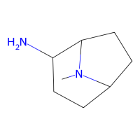 2-氨基-8-甲基-8-氮杂双环[3.2.1]辛烷，1314981-01-5，≥97%，阿拉丁