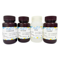 增强革兰氏染色试剂盒；阿拉丁BioReagent, 生物染色剂, 用于显微镜；阿拉丁