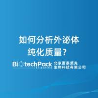 如何分析外泌体纯化质量？