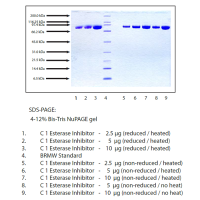C1酯酶抑制剂,人血浆,≥95%(SDS-PAGE), Extinction Coefficient: 0.4,阿拉丁