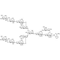 Galα(1-3)核6-岩藻糖基化 N-聚糖2AB (500pmol/vial)，≥98%(HPLC)，阿拉丁