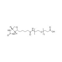 生物素-PEG2-酸，1365655-89-5，≥98%，阿拉丁