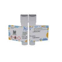 阿尼芬净，166663-25-8，10mM in DMSO，阿拉丁