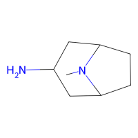 exo-8-甲基-8-氮杂双环[3.2.1]辛烷-3-胺，81487-04-9，≥97%，阿拉丁