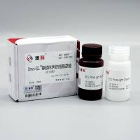 SQ202 Omni-ECL™基础型化学发光检测试剂盒(皮克级)