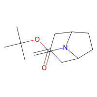 3-亚甲基-8-boc-8-氮杂双环[3.2.1]辛烷，273207-57-1，≥97%，阿拉丁