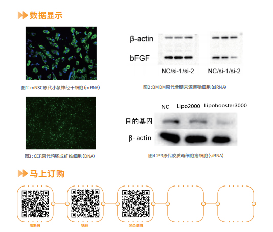 新闻图片2