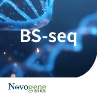BS-seq（WGBS）