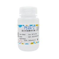 蛋白印迹膜再生液（中性）；阿拉丁BioReagent, for western blot, 即用型；阿拉丁