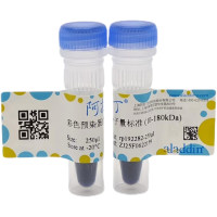 彩色预染蛋白分子量标准 (10-180kDa)