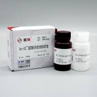 SQ201 Omni-ECL™ 超灵敏化学发光检测试剂盒