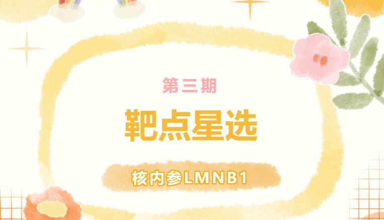 靶点星选第三期|核内参LMNB1