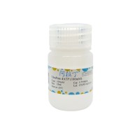 UltraPure dATP (100mM)；BioReagent, 无DNA酶和RNA酶, PCR试剂, 内毒素检测, UltraBio™, 适用于分子生物学, 无菌, for DNA and RNA applications, ≥99%, 100mM；1927-31-7；阿拉丁