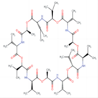缬氨霉素，2001-95-8，≥98%(TLC),≥95%(HPLC)，阿拉丁
