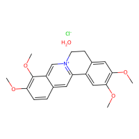 盐酸巴马汀，171869-95-7，≥97%，阿拉丁