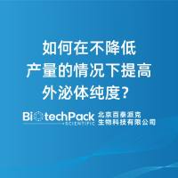 如何在不降低产量的情况下提高外泌体纯度？