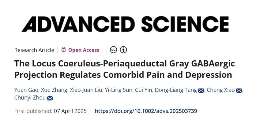 Adv Sci︱疼痛-抑郁共病的神经机制和关键调控靶点