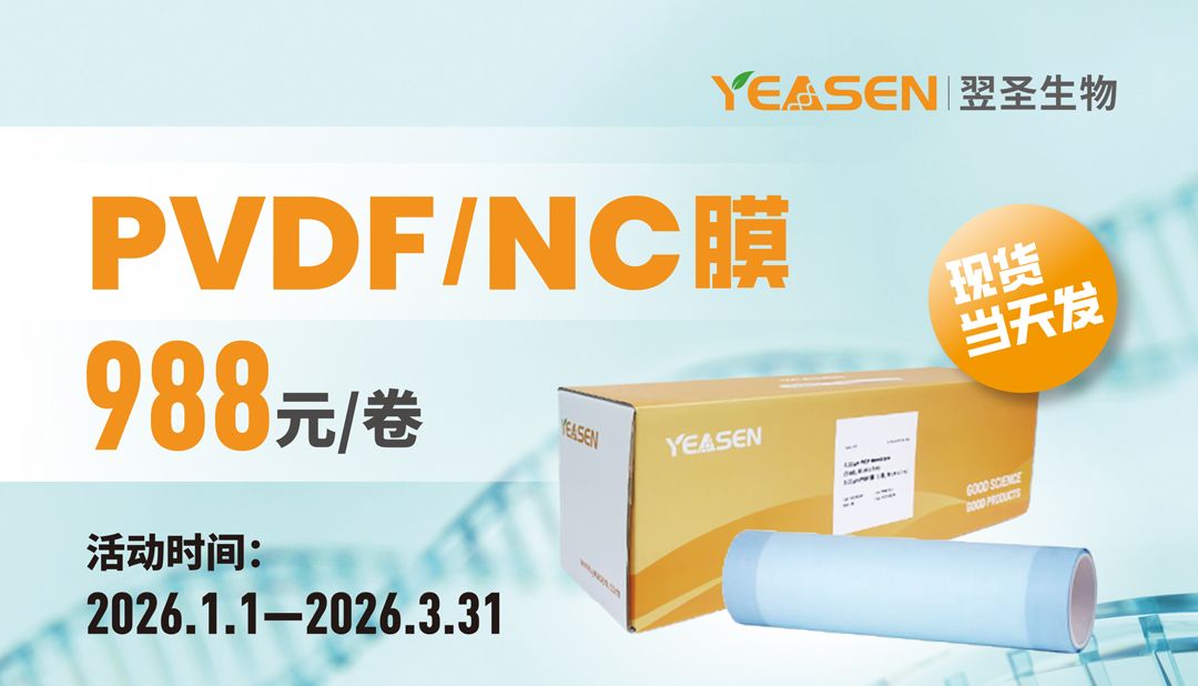 PVDF/NC膜，特价988元卷
