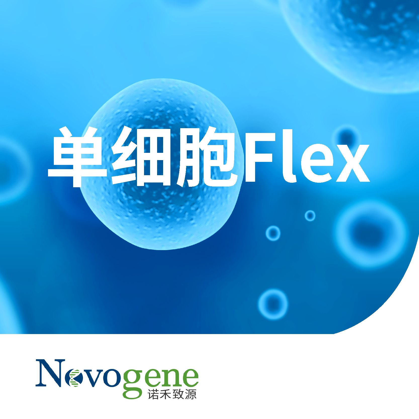单细胞Flex测序