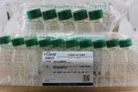 细胞培养瓶,容量: 250ml;描述: TC表面处理;密封盖;包装: 100个,芯硅谷