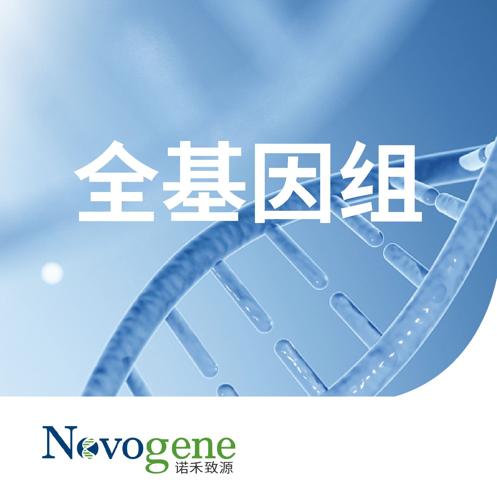 WGS全基因组脱靶检测