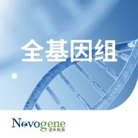 WGS全基因组脱靶检测