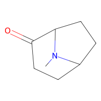 8-甲基-8-氮杂双环[3.2.1]辛烷-2-酮，78477-91-5，≥97%，阿拉丁