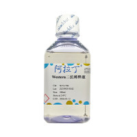 Western二抗稀释液；阿拉丁无菌；阿拉丁