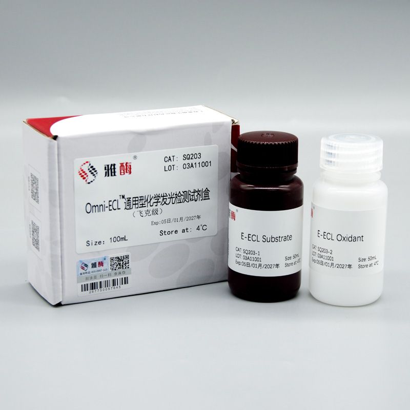 SQ203 Omni-ECL™通用型化学发光检测试剂盒(飞克级)
