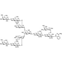 G2F 2AB (500pmol/vial)，263902-57-4，阿拉丁