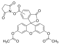 5(6)-羧基二乙酸荧光素琥珀酰亚胺酯(CFDA),150347-59-4,适用于荧光分析, ≥90%(HPLC),阿拉丁