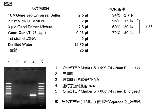 0414703046711171.jpg 新闻图片3