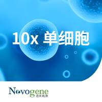 10X单细胞CRISPR