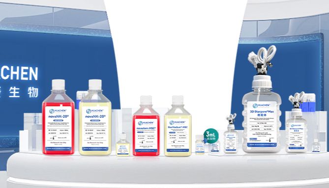 华辰生物：外泌体研究的“黄金搭档”——揭秘化学成分限定培养基的突破性优势