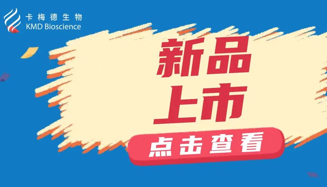 国产科研工具酶突破：卡梅德生物自研PstI/NotI高效限制性内切酶正式上线！