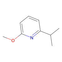 2-异丙基-6-甲氧基吡啶,479412-25-4,≥95%,阿拉丁