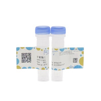 肝素酶 I;≥500(U/mg),from Flavobacterium heparinum;9025-39-2;阿拉丁