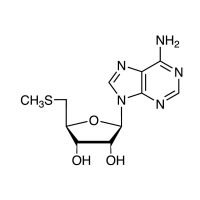 5′-脱氧-5′-(甲硫基)腺苷,2457-80-9,≥95%,阿拉丁