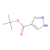 1H-吡唑-4-羧酸叔丁酯，611239-23-7，≥97%，阿拉丁
