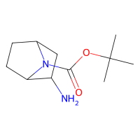 (1r,2s,4s)-rel-2-氨基-7-boc-7-氮杂双环[2.2.1]庚烷，500556-93-4，≥97%，阿拉丁