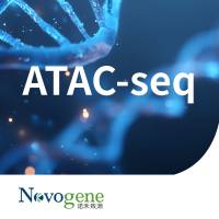 ATAC-seq（mini ATAC-seq）