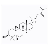 24-Methylenecycloartan-3β-ol，1449-09-8，≥92%，阿拉丁