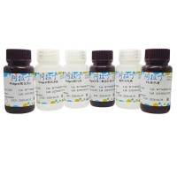 Weigert弹力纤维染色试剂盒；阿拉丁BioReagent, 生物染色剂, 用于显微镜；阿拉丁