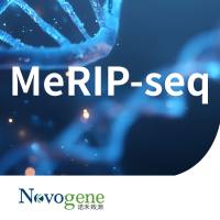 RNA甲基化（MeRIP-seq）