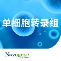 10X 单细胞转录组测序