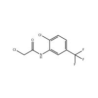 2-氯-N-(2-氯-5-(三氟甲基)苯基)乙酰胺,328-26-7,≥95%,阿拉丁