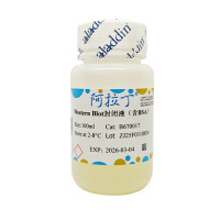 Western Blot封闭液Ⅰ（BSA），阿拉丁