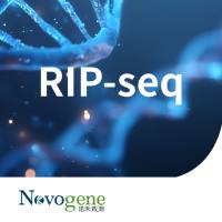 RNA IP-seq（RIP-seq）