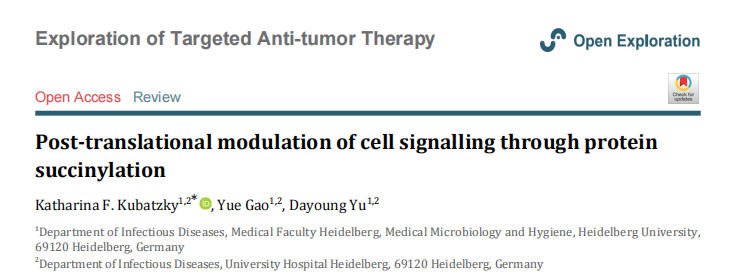 琥珀酰化专题|《Explor Target Antitumor Ther》的（DOI：10.37349/etat.2023.00196）蛋白质琥珀酰化：调控细胞信号与疾病发生的关键机制