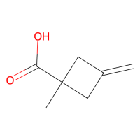 1-甲基-3-亚甲基环丁烷-1-羧酸,286442-86-2,≥97%,阿拉丁